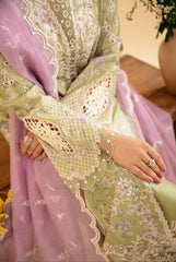 Qalamkar Qlinekari Lawn collection 24 6G ( Semi Stitched )