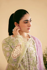 Qalamkar Qlinekari Lawn collection 24 6G ( Semi Stitched )